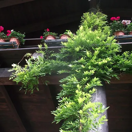 农家乐 Le Giare 热那亚