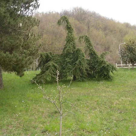 Le Giare Farma Janov