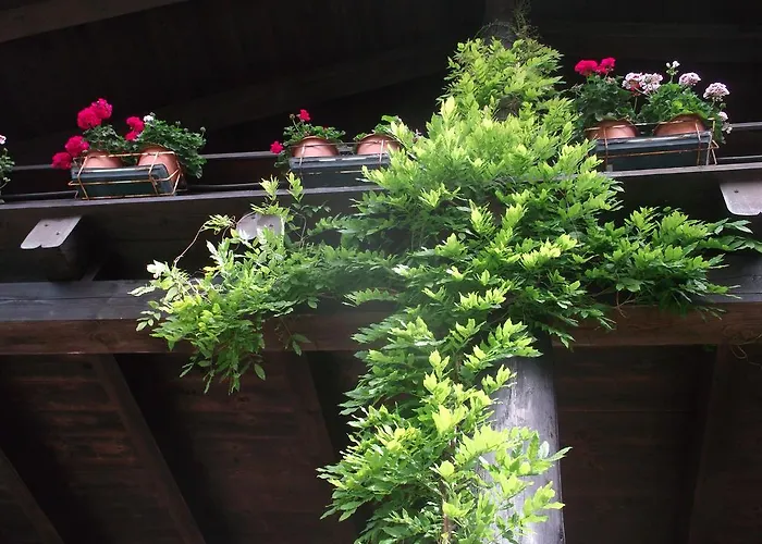 Agroturismo Le Giare Génova