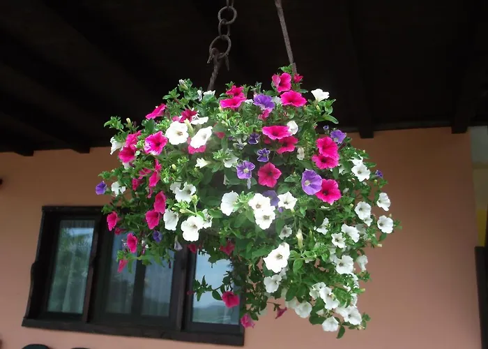 Le Giare Farmház Genova