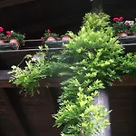 مزرعة للإقامة Le Giare جنوة