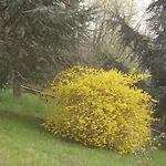 Le Giare * جنوة